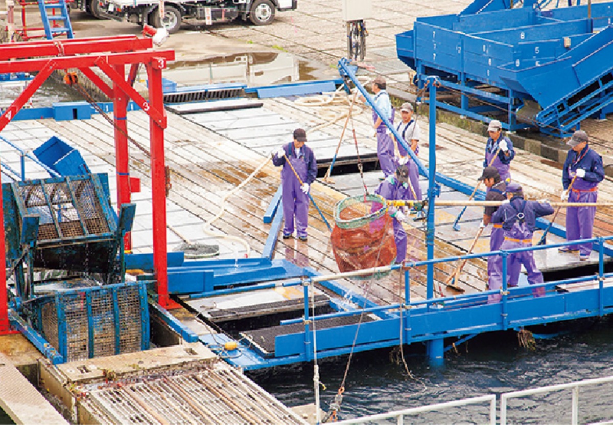 北海道移住｜空港と名水、半導体で未来を拓く千歳市