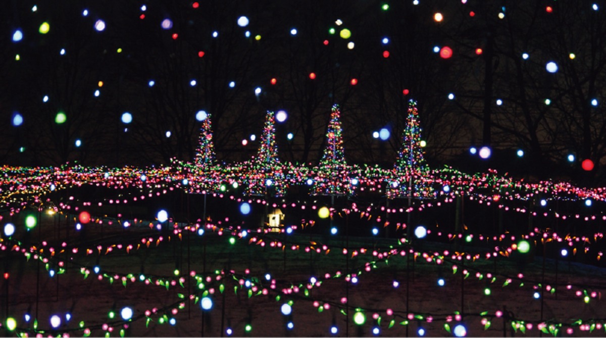 北海道、冬の遊び方。｜中札内村