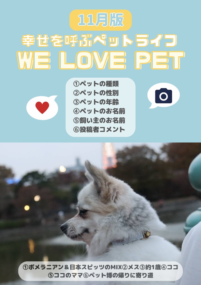 【ペットフォトコンテスト】幸せを呼ぶペットライフ　We LOVE Pet2023年12月版
