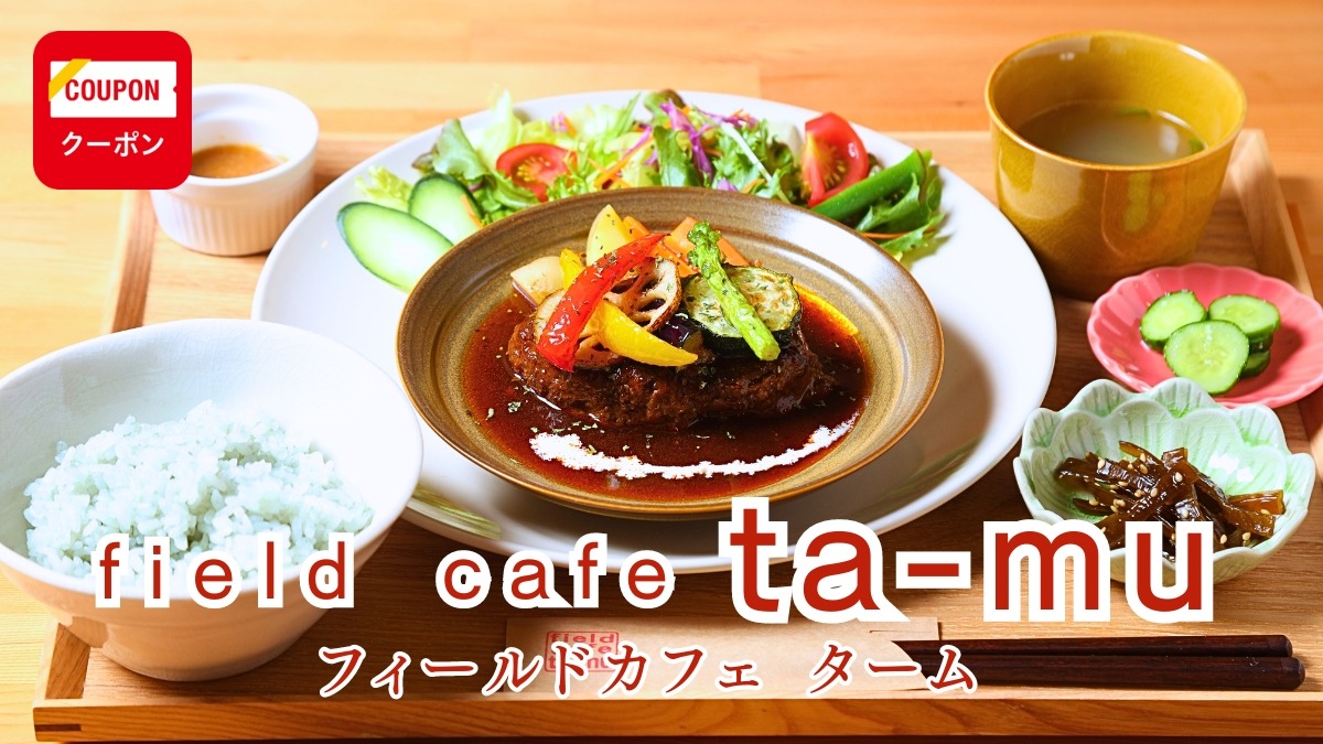 《field cafe ta-mu》自然の中の休憩所、木質空間で体にやさしいランチをごゆっくり