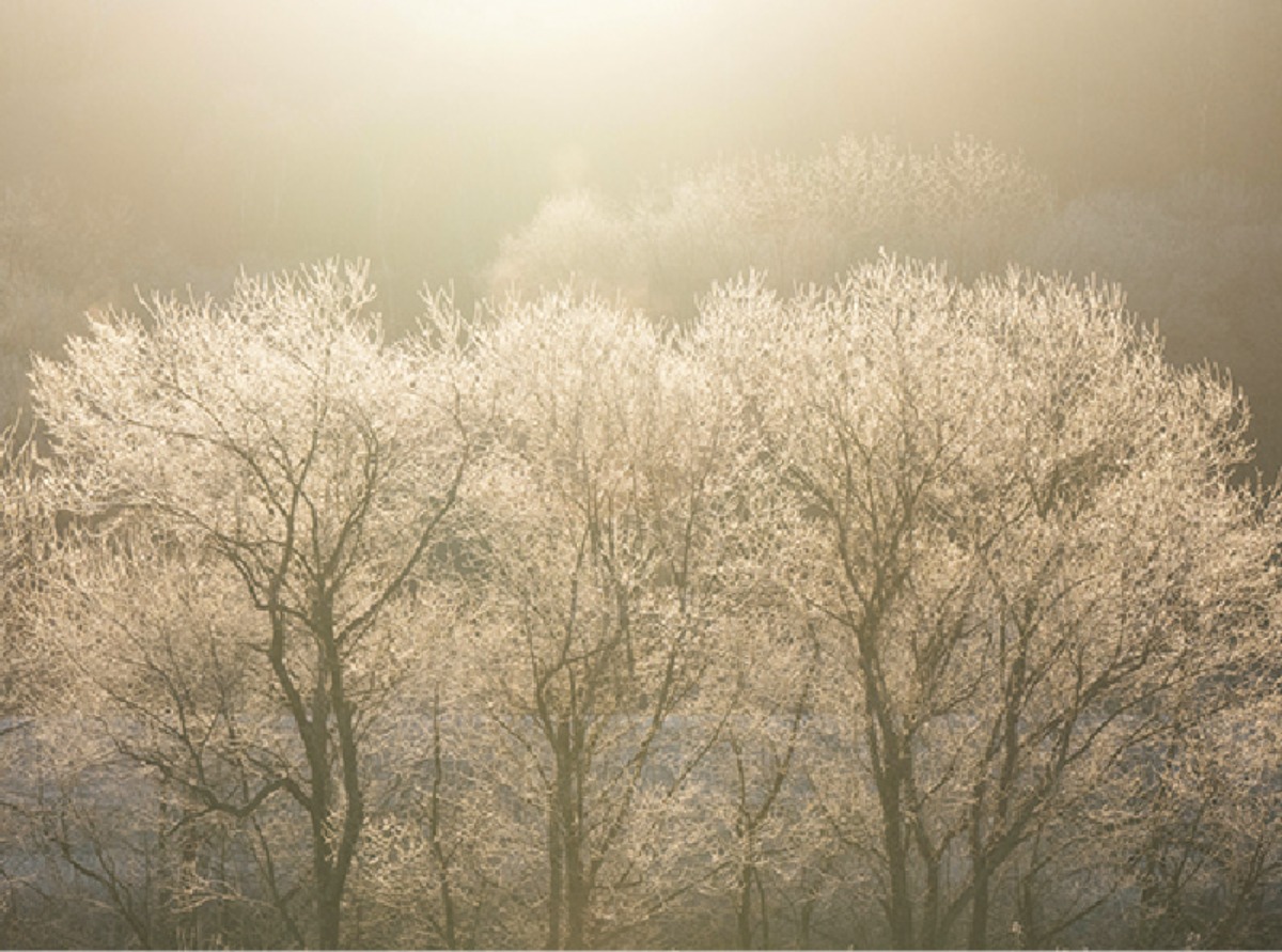 北海道移住・冬｜標茶町　広大な大地に育まれた、 標茶グルメを味わえるまち