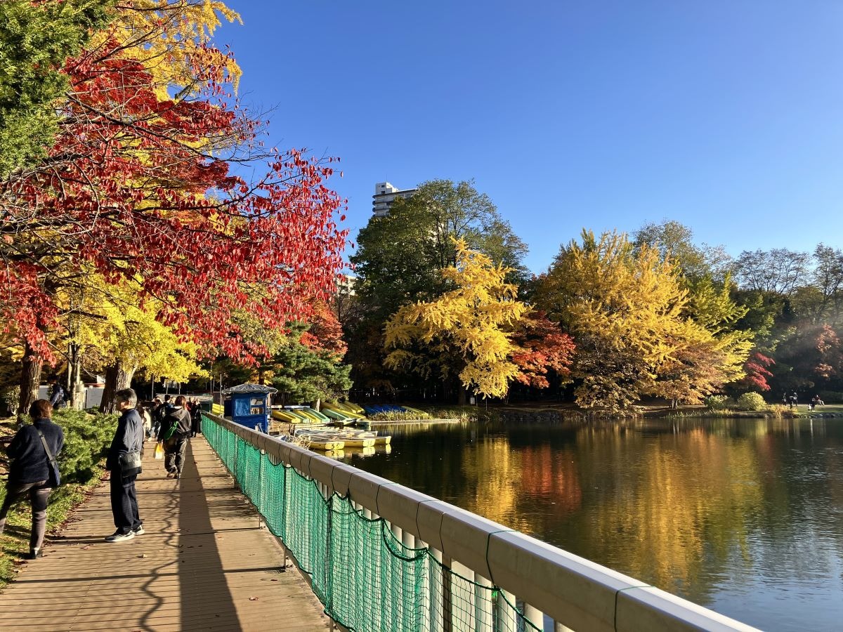 中島公園で11月4日まで開催中の「焼き芋テラス」と紅葉を堪能！