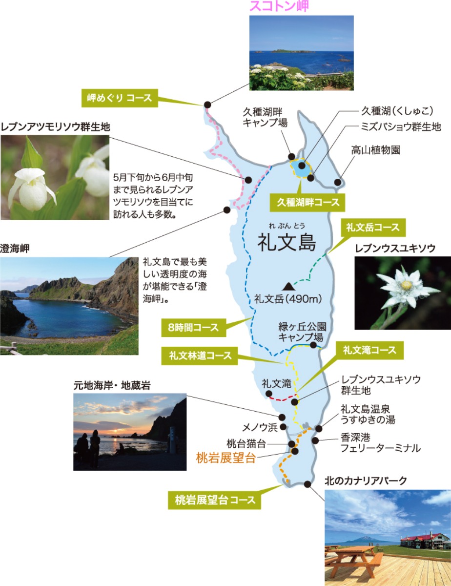 北海道の‟花の浮島”・礼文島をトレッキングでめぐる旅