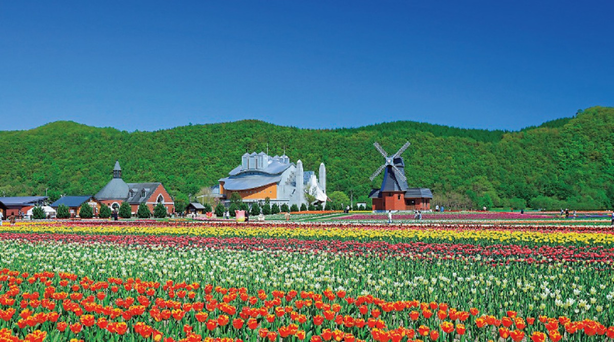 春夏のオホーツク｜湧別町　肥沃な大地と青空の下チューリップが咲き誇る
