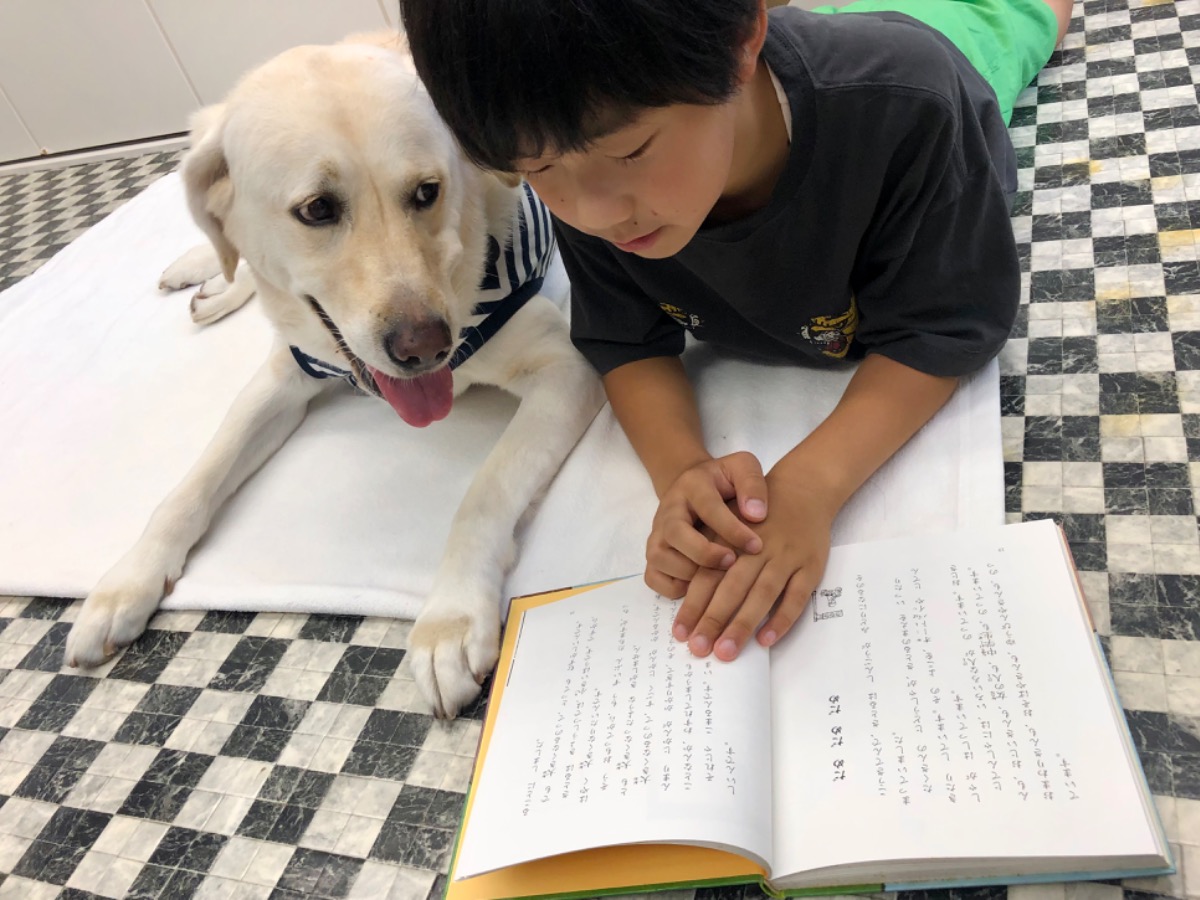 【2023年10月スタート／読書犬活動・NPO法人補助犬とくしま（徳島市八万町）】こどもが犬に読み聞かせ、心を育む