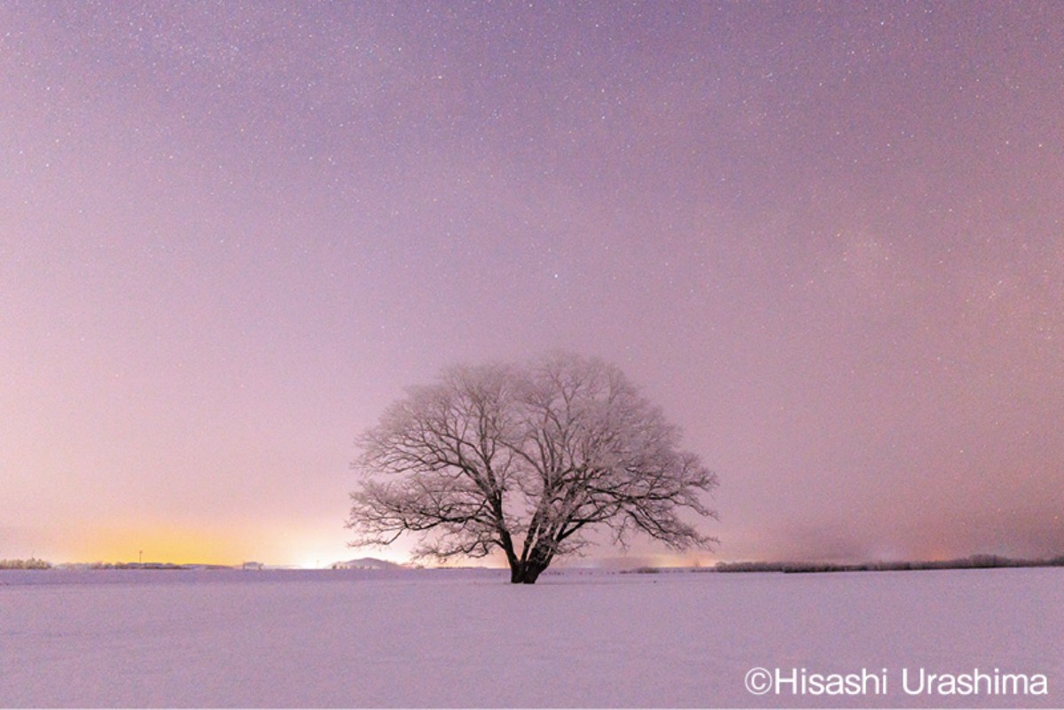 北海道の冬旅｜豊頃町のジュエリーアイスが有名！あったかグルメも