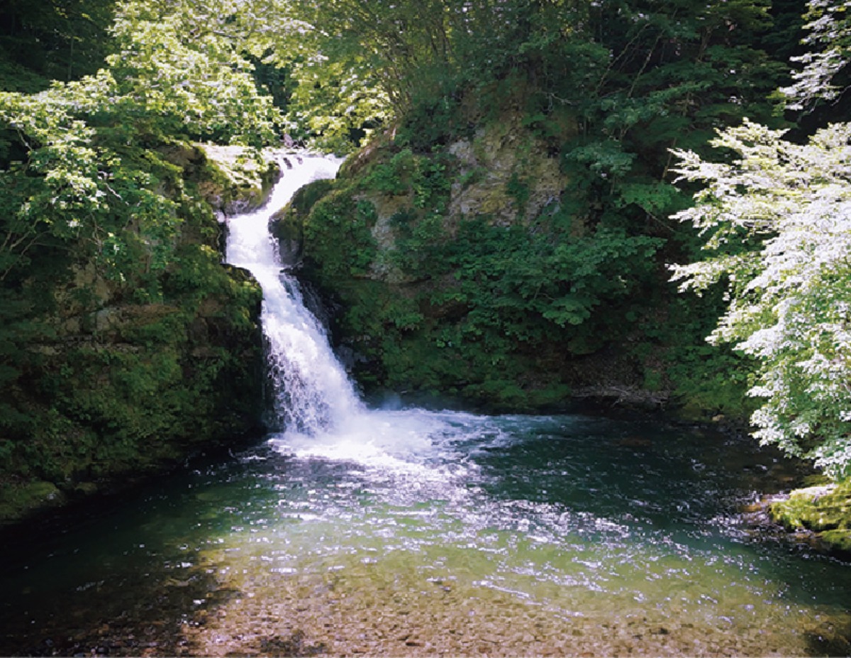 北海道移住・秋｜いかめし発祥の森町、若者と子育てを応援！