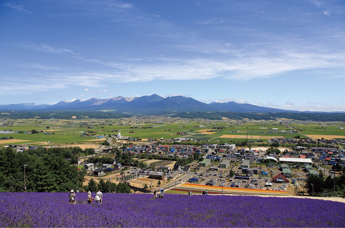夏の北海道を体感｜中富良野町　季節を楽しむ、ラベンダーと自然のまち