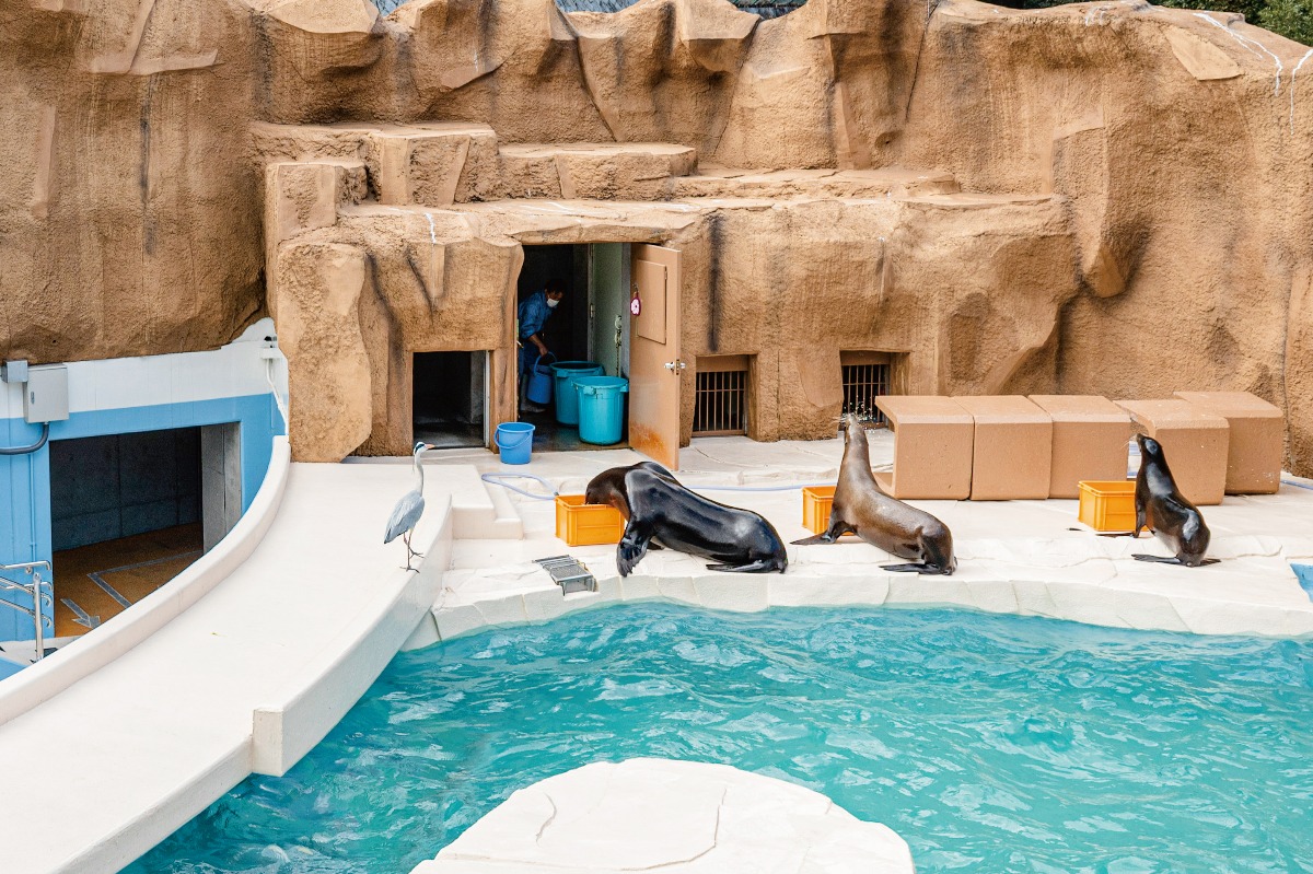 四国の動物園 愛媛県 愛媛県立とべ動物園