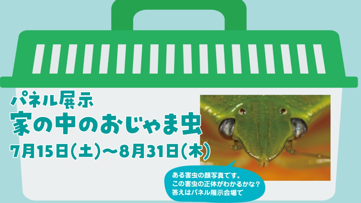 【徳島イベント情報】あすたむらんど【7月】