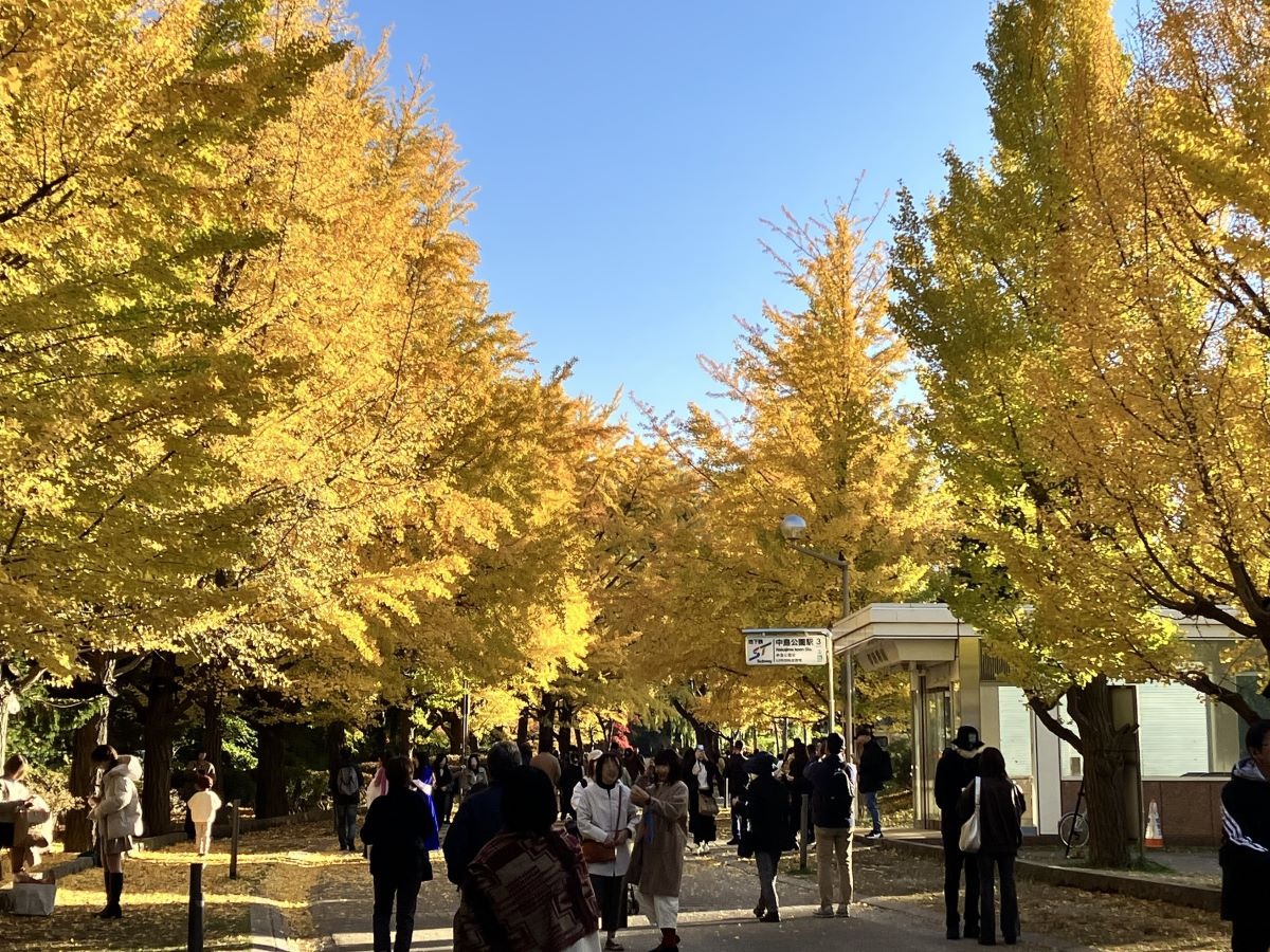 中島公園で11月4日まで開催中の「焼き芋テラス」と紅葉を堪能！