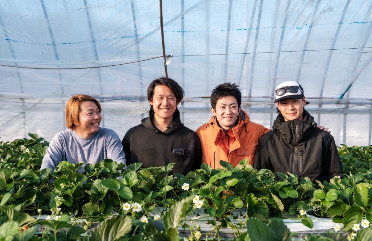 【2026最新版】徳島いちご狩りスポット・おすすめ12選！家族のおでかけ＆レジャーにぴったり