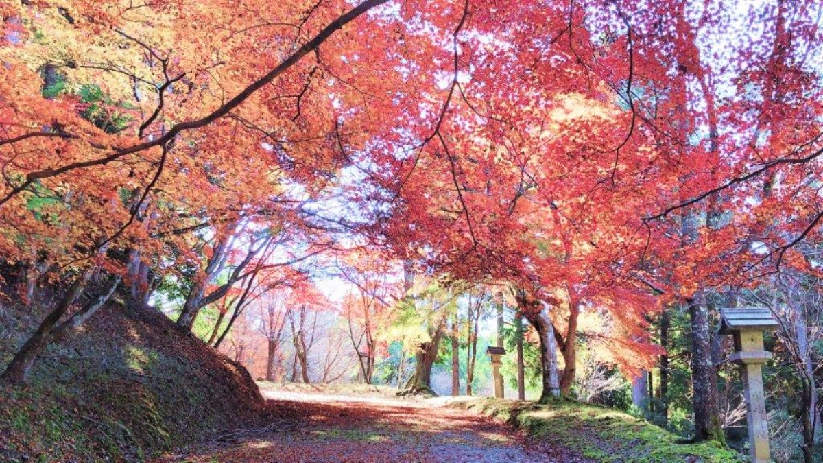 【奈良の紅葉2023】吉野山の麓であざやかな紅葉に包まれる「吉野神宮」｜奈良県吉野郡吉野町