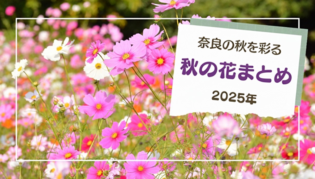 奈良の秋を彩る秋の花スポットまとめ【2025年版】