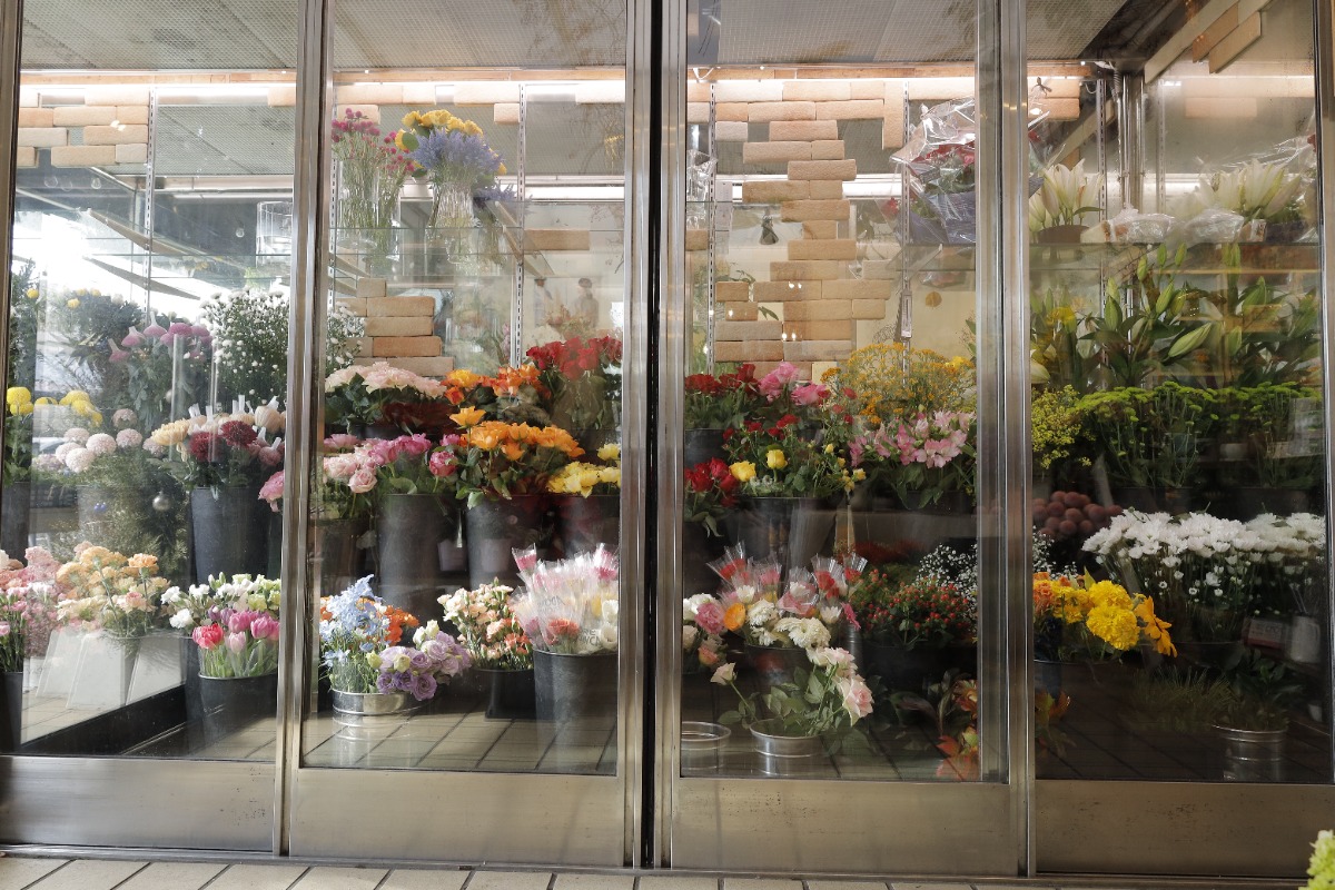 【徳島の花屋さん】Flower shop HARADA（フラワーショップ ハラダ／板野郡松茂町）花のある暮らしを彩るお手伝い。ドライフラワーや珍しい苔なども揃う。