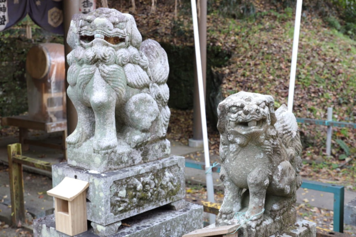 《徳島探訪》とくしま狛犬列伝 「徳島市 諏訪神社」