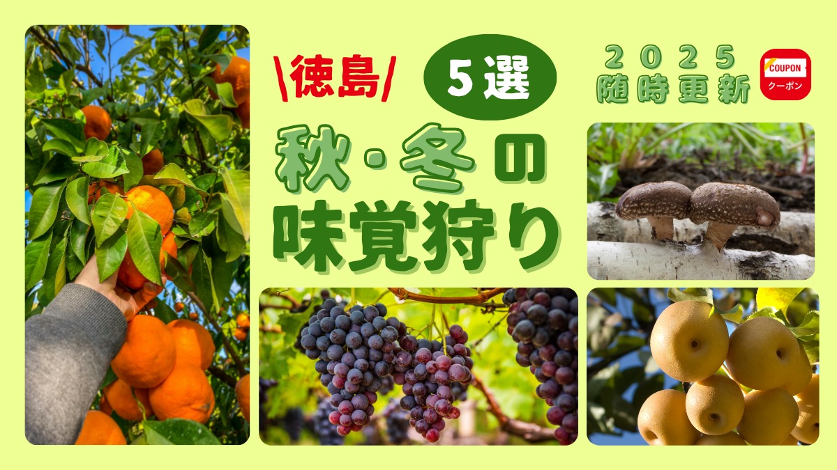 【徳島おでかけ】秋冬の味覚狩り・おすすめ5選/ぶどう狩り/梨狩り/みかん狩り/きのこ狩り|レジャー|体験|2025最新