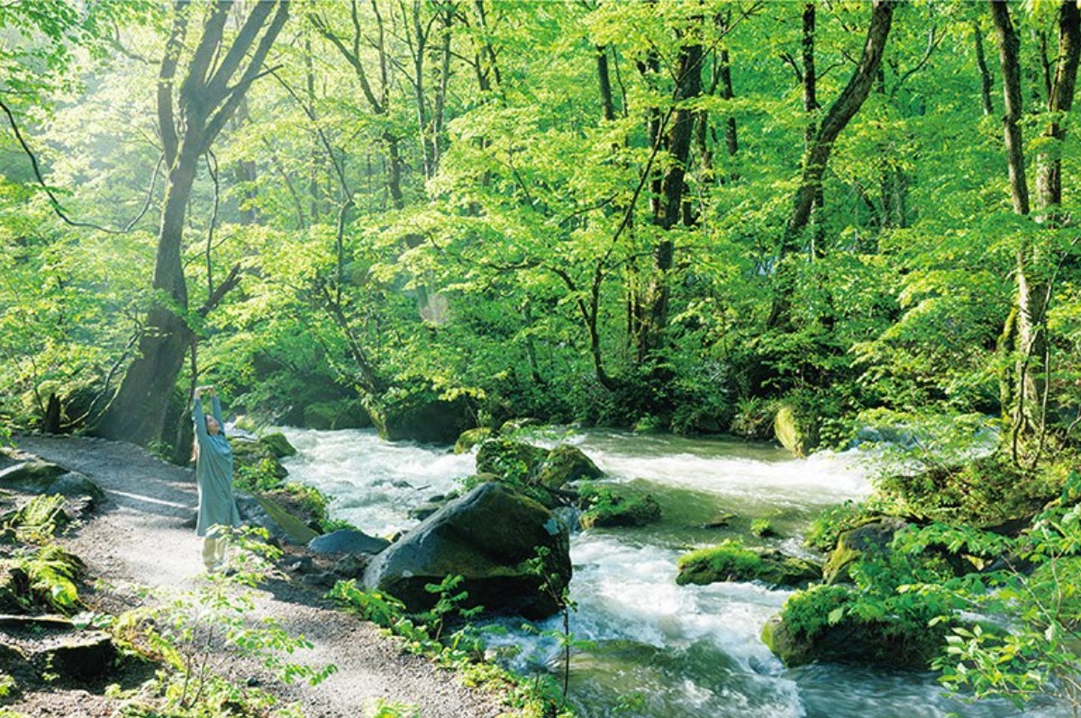<北海道・東北>星野リゾートで過ごす“大人の春旅”