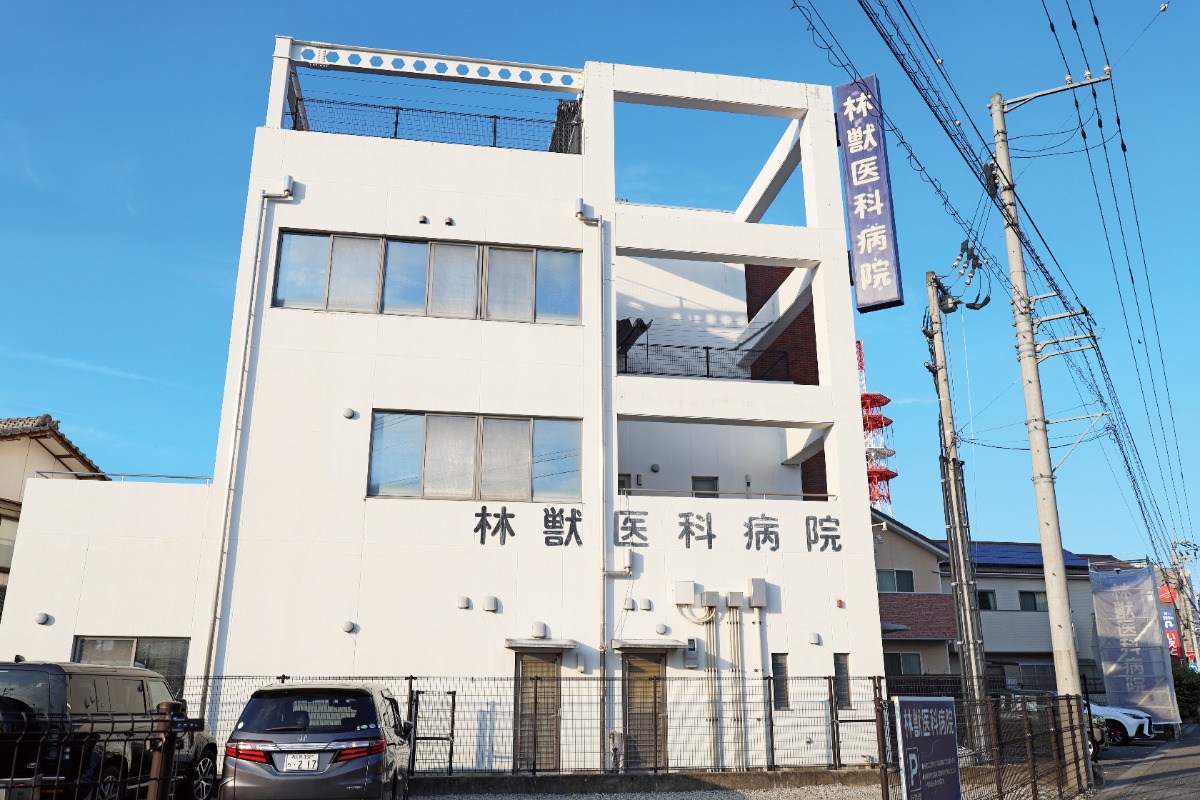 【2026】徳島の動物病院／ペット／ピックアップ8選―あわわ2026年10月20日号徳島いぬねこ本―
