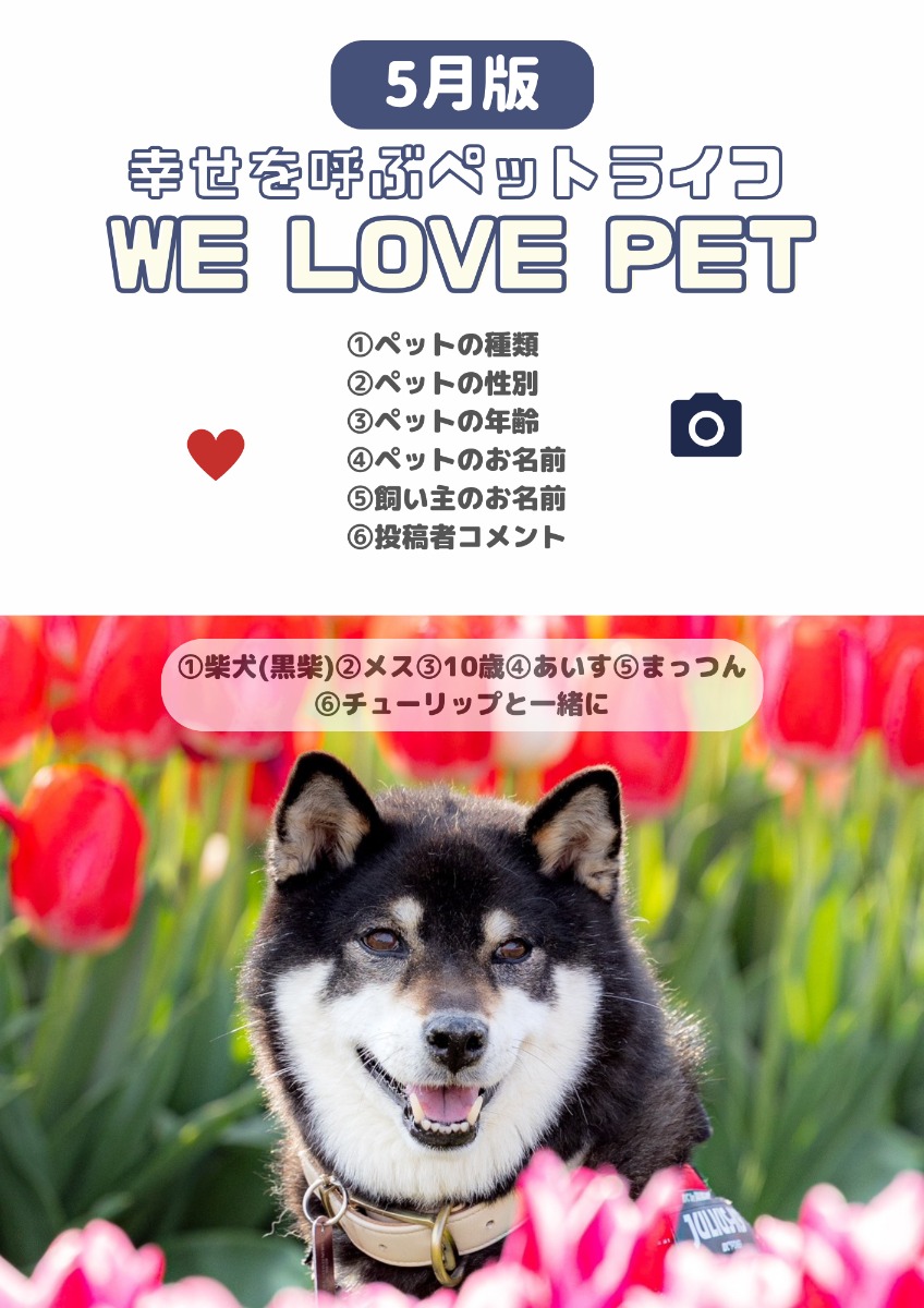 【ペットフォトコンテスト】幸せを呼ぶペットライフ　We LOVE Pet2024年6月版