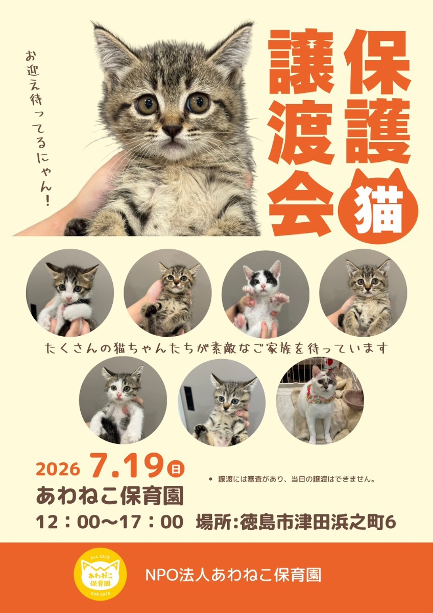 【徳島イベント情報2026】7/19｜保護猫譲渡会＠あわねこ保育園