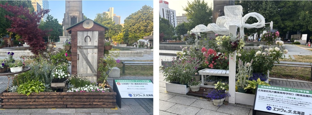 札幌・大通公園の「花フェスタ2025」へ。6月29日まで開催中!