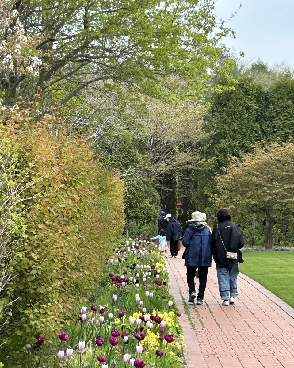 北海道 宿根草の育て方｜11月　庭じまいと冬に向けた保護