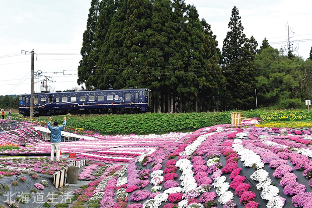 花咲く沿線と津軽海峡の海、道南いさりび鉄道の旅