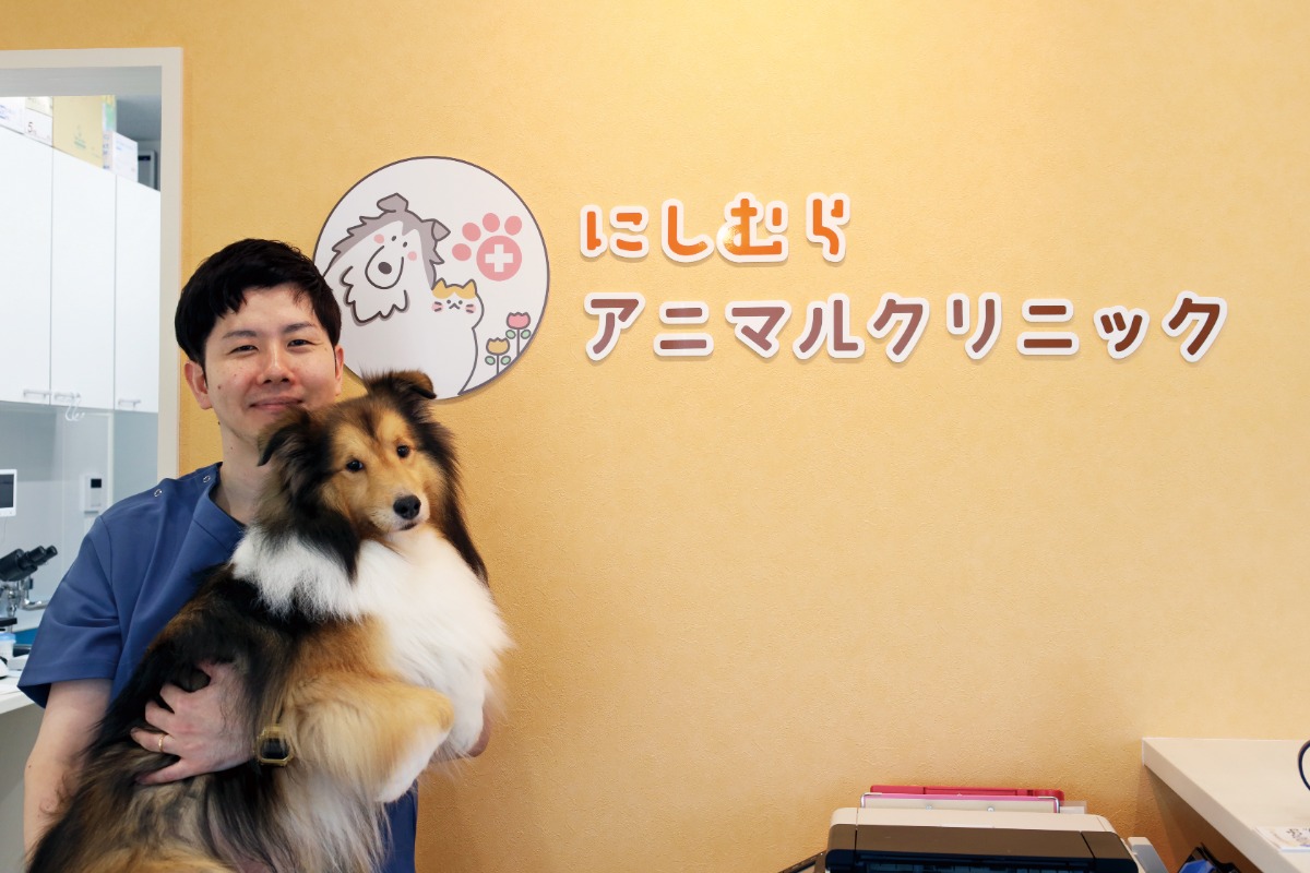【2026】徳島の動物病院／ペット／ピックアップ8選―あわわ2026年10月20日号徳島いぬねこ本―