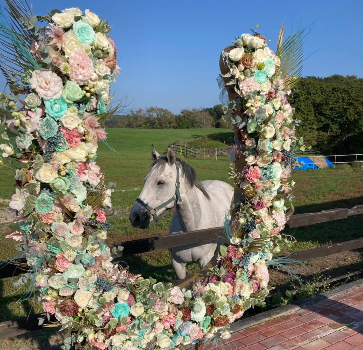 3月3日発売「北海道生活」春号（最終号）メッセージを募集します！