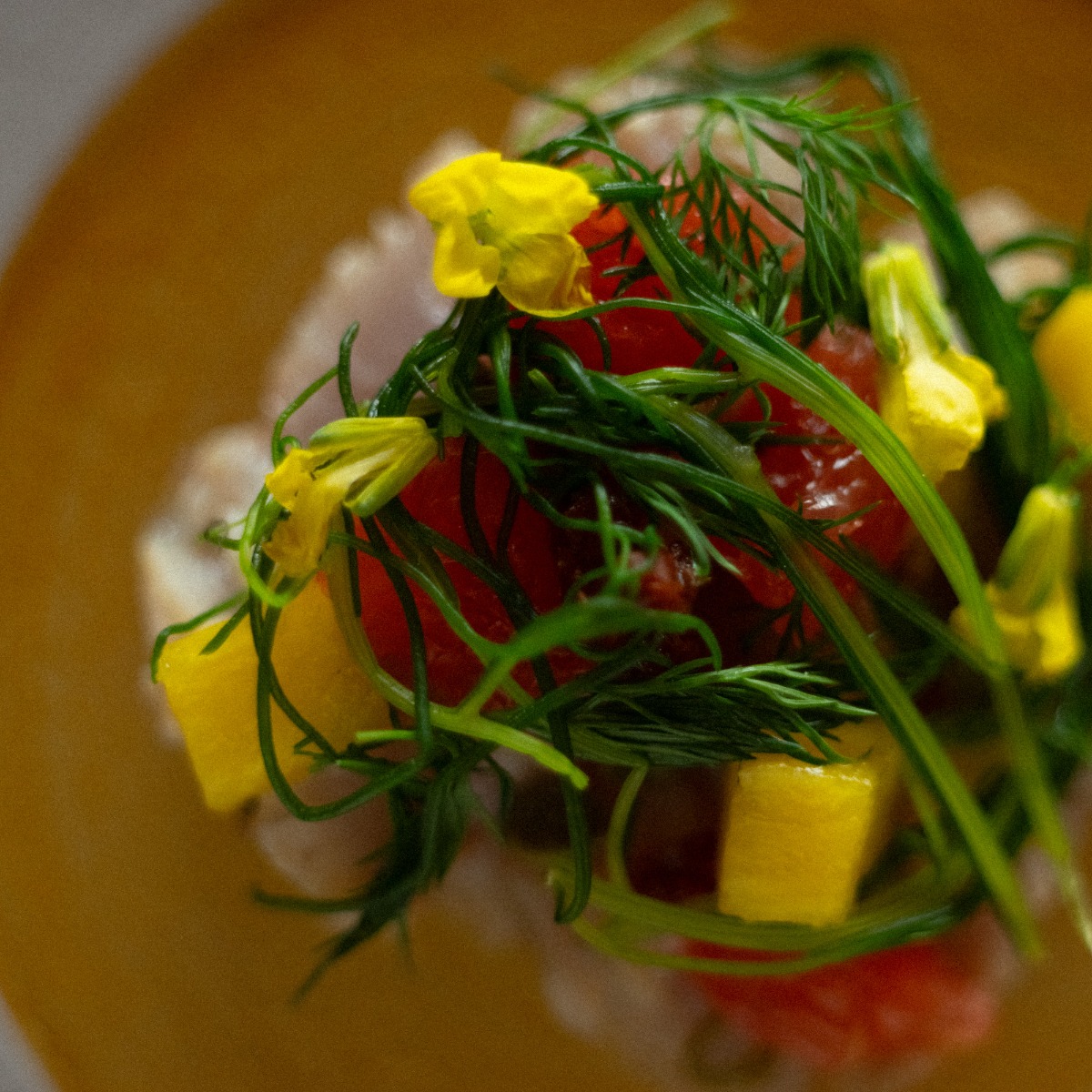 北海道の森を味わうレストラン「MORISHIRO（モリシロ）」が11月21日OPEN