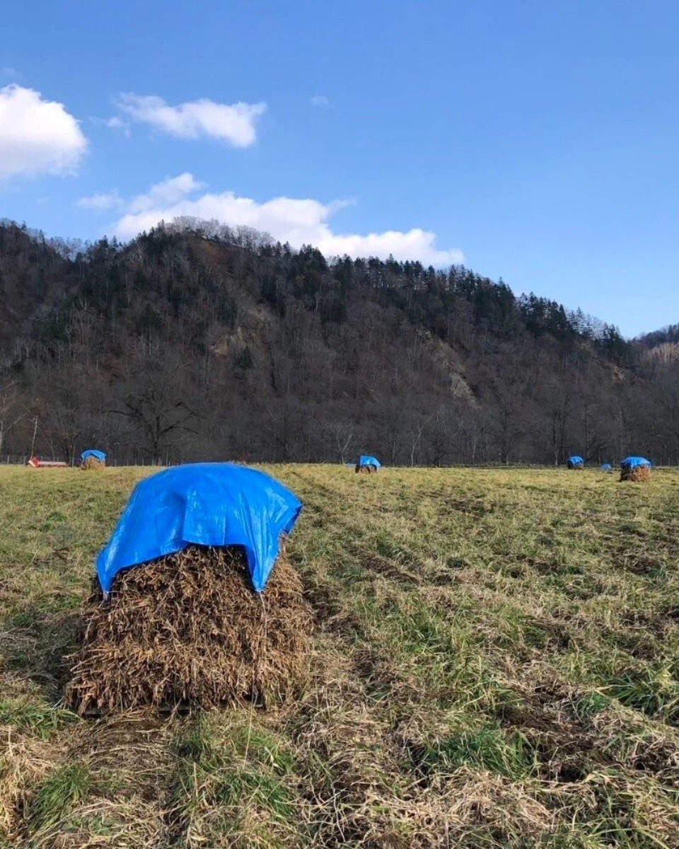 若者が農業に抱いた夢！白糠町で有機栽培に挑戦する大豆農場