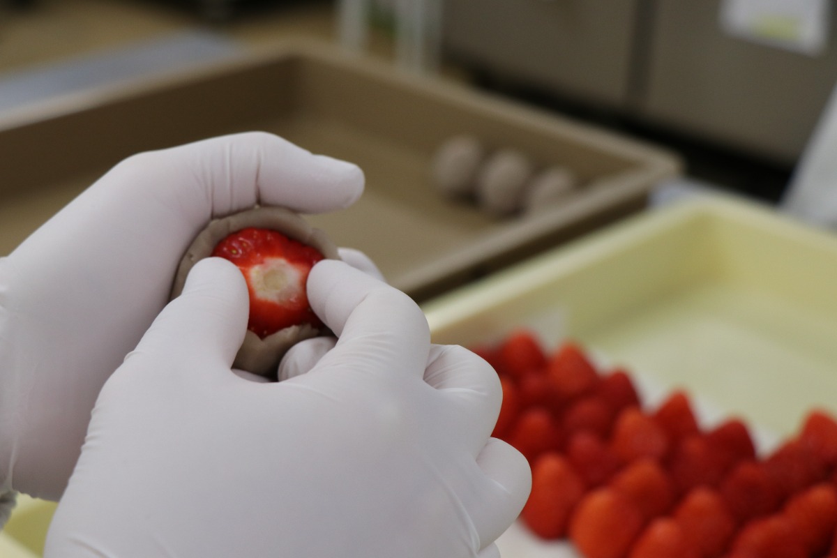 めぐる、2026年春号発売しました