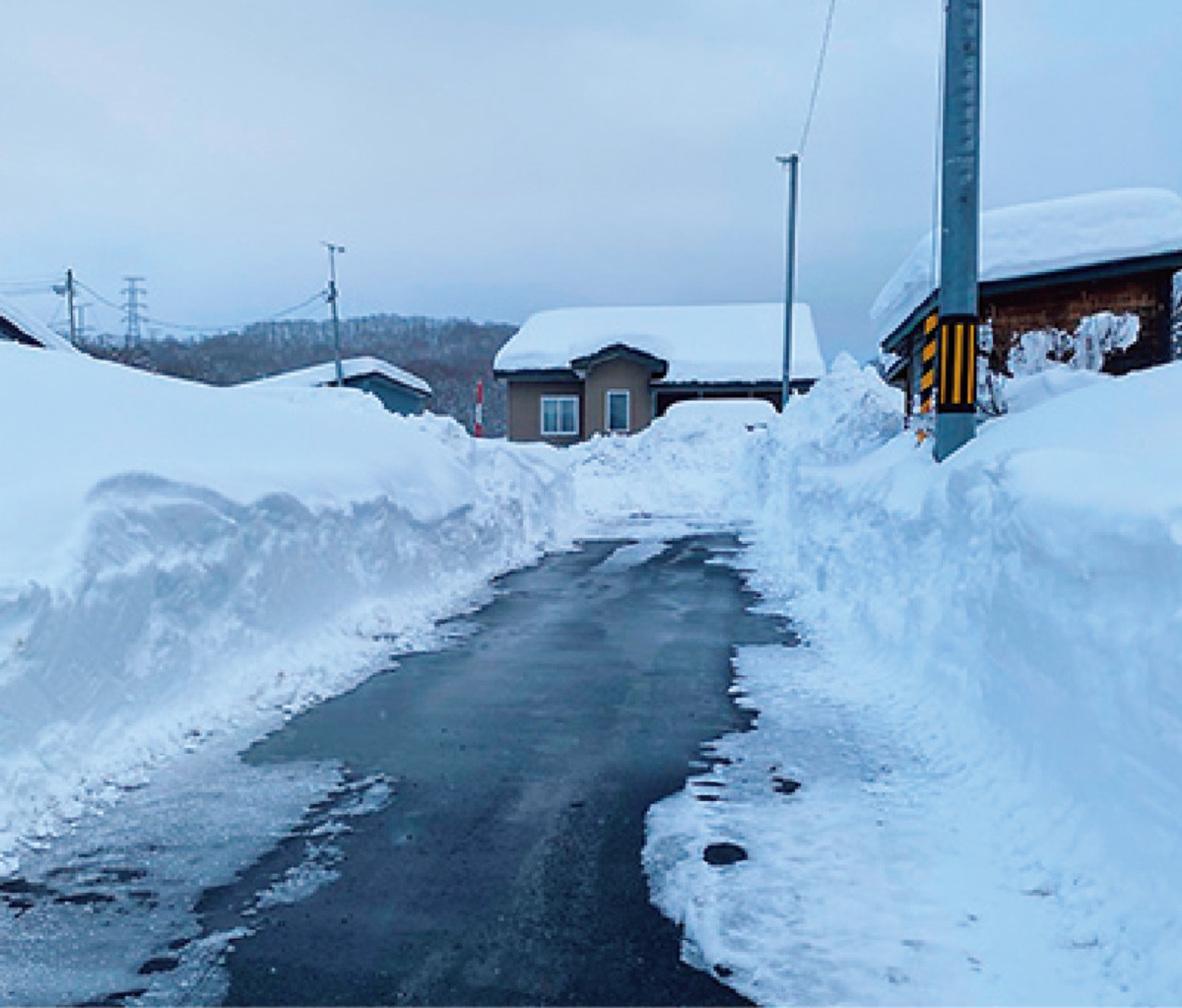 北海道移住・秋|士幌町 「農園付き住宅」で家庭菜園を楽しむ