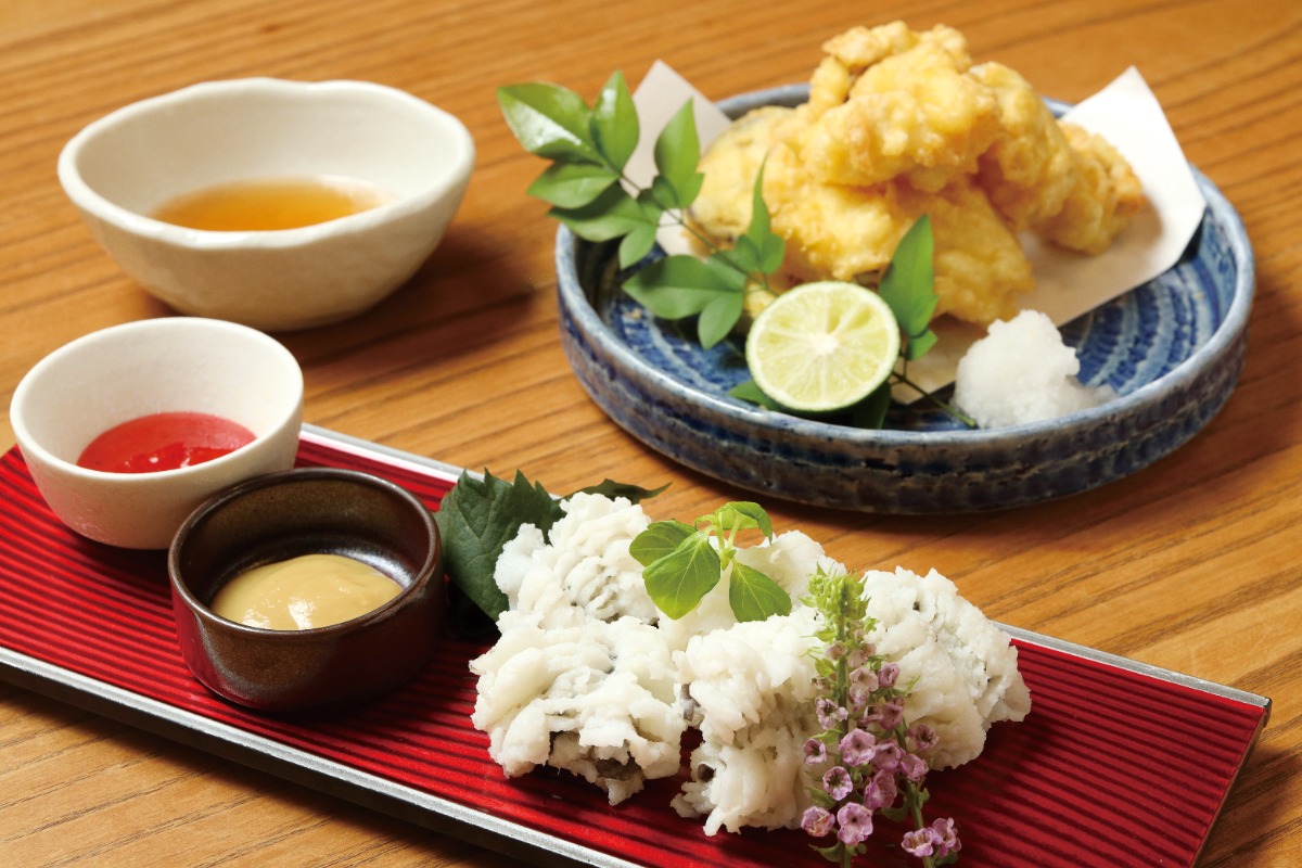 【阿波おどりガイド2026】行っておきたい徳島のグルメスポット