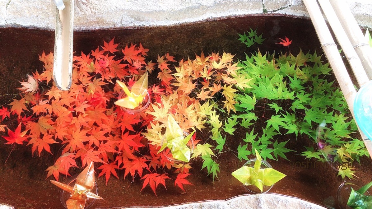 【奈良の紅葉2023】深まる秋を堪能しよう！奈良の紅葉スポットまとめ Part1
