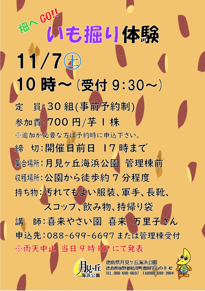 【徳島イベント情報2026】月見ヶ丘海浜公園【11月】