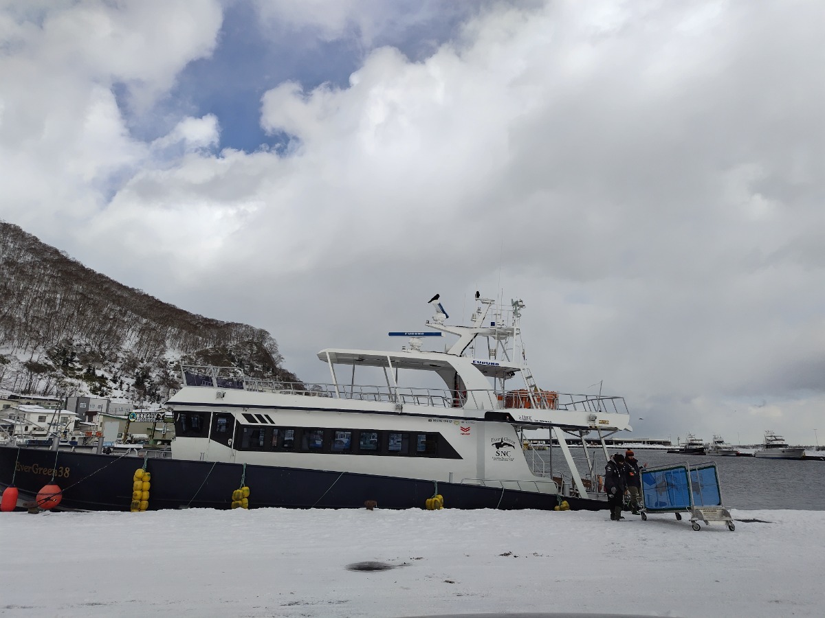 やぎさん取材日記｜流氷の海へ！羅臼クルーズに行ってきた。