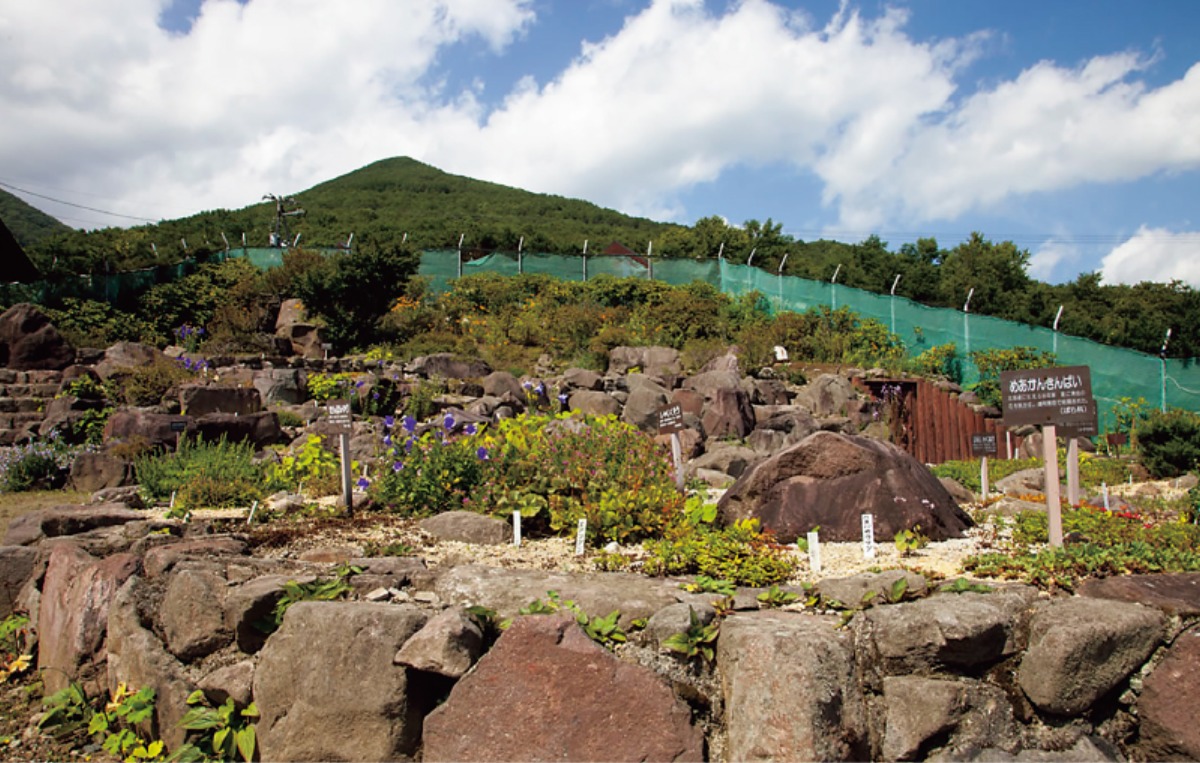 北海道移住・秋|士幌町 「農園付き住宅」で家庭菜園を楽しむ