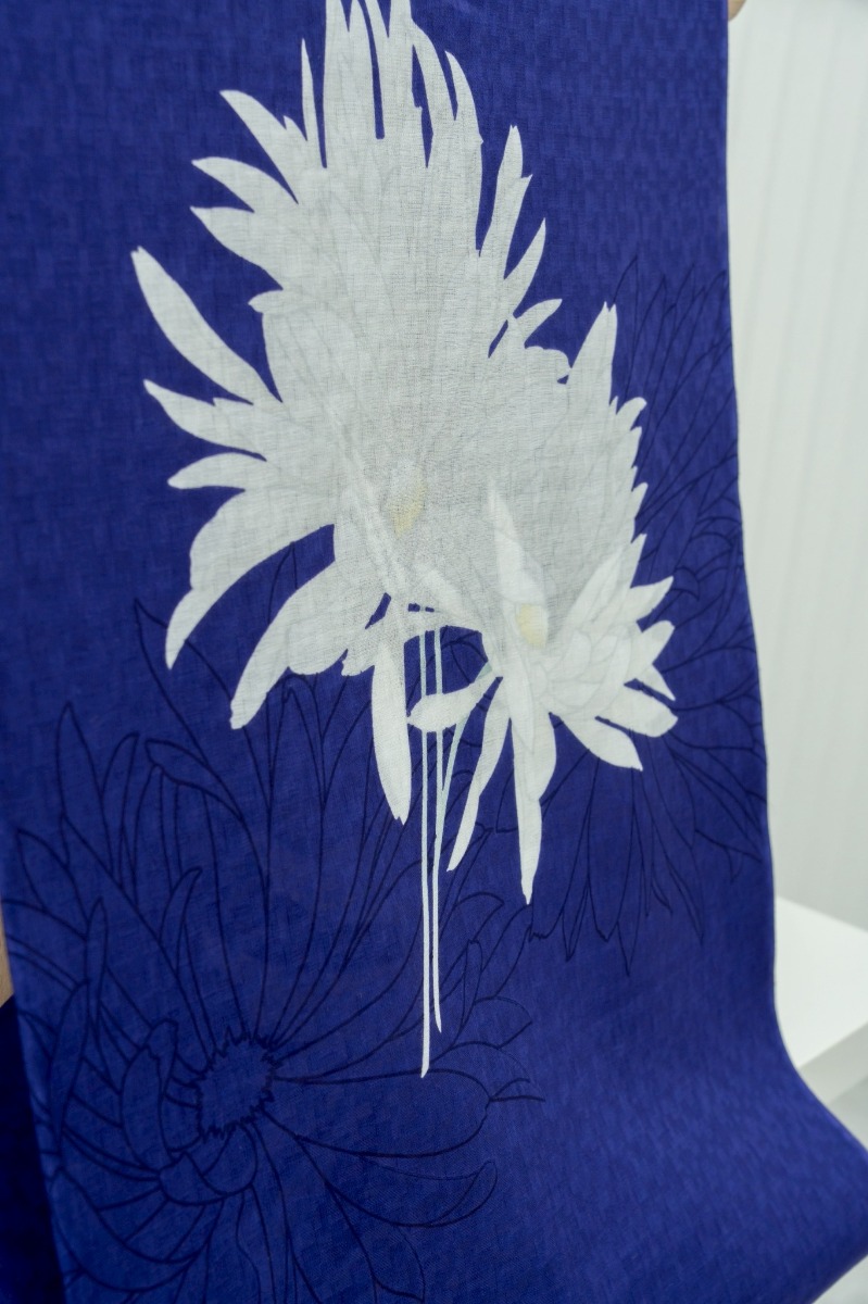 【徳島イベント情報2026】6/20～6/21｜KIMONO NEW WAVE 誉田屋源兵衛 浴衣展