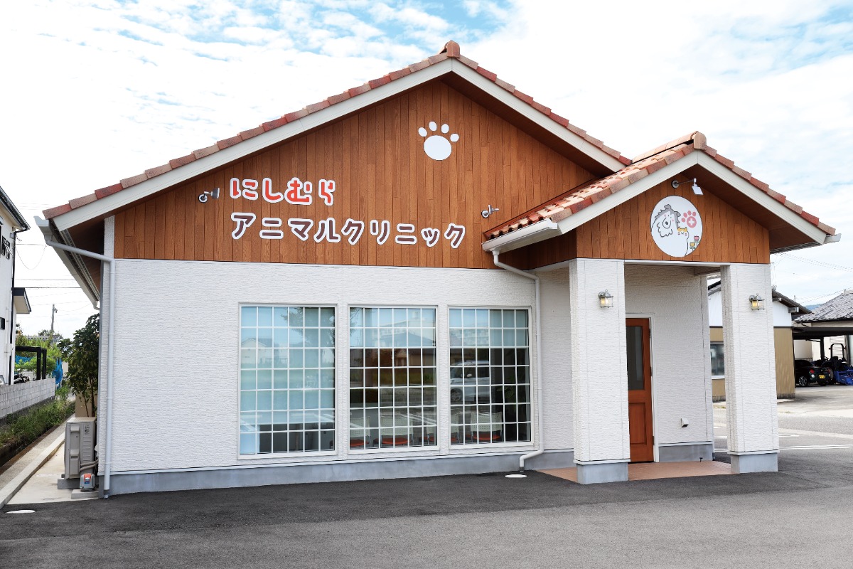 【2026】徳島の動物病院／ペット／ピックアップ8選―あわわ2026年10月20日号徳島いぬねこ本―