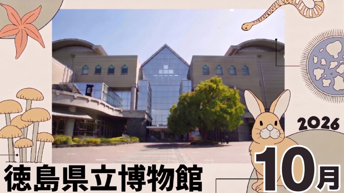 【徳島イベント情報2026】徳島県立博物館【10月】