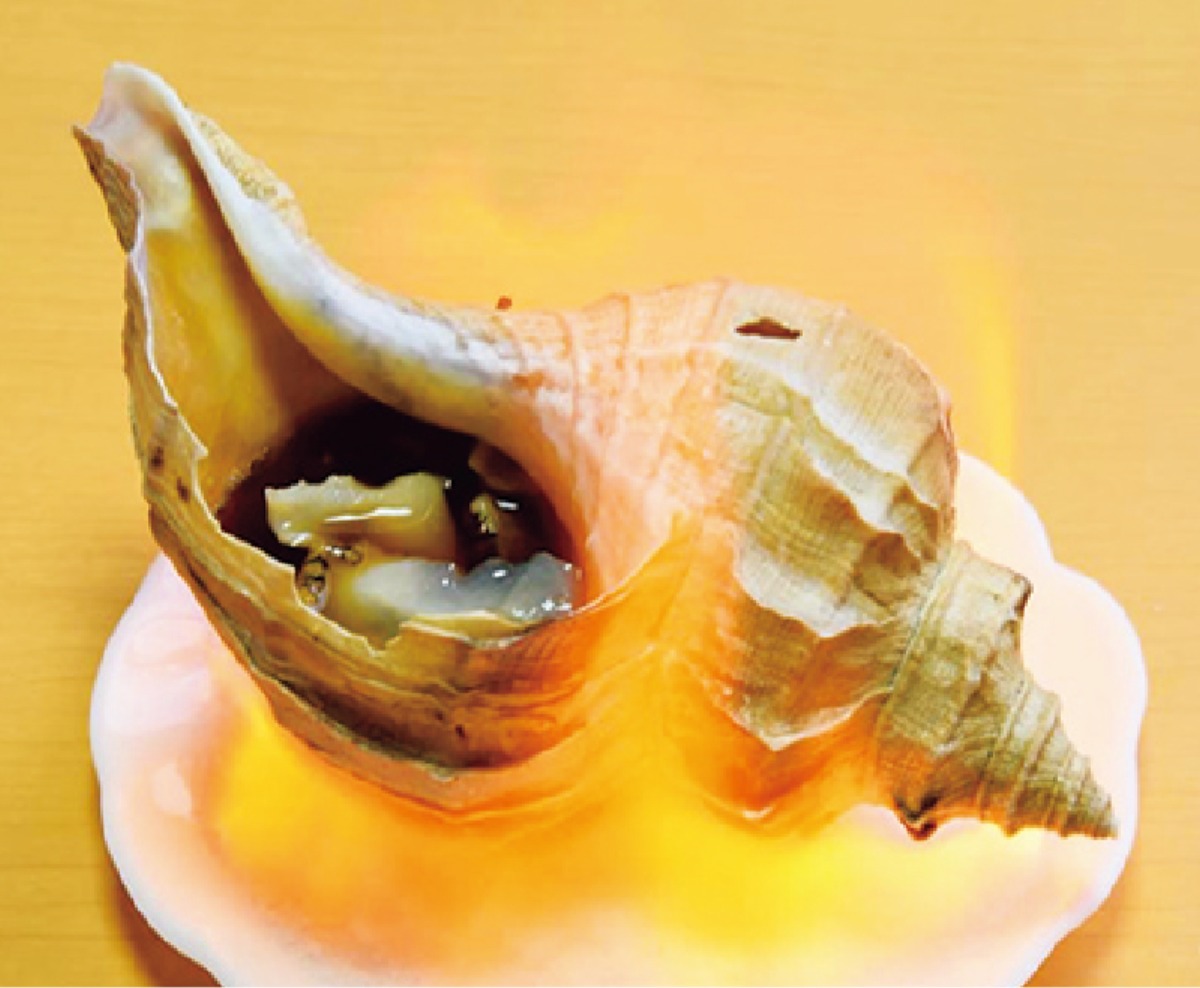 南北海道から北東北へ｜森町　貴重な史跡と多くの桜が咲き誇る、 花と歴史ロマンあふれるまち