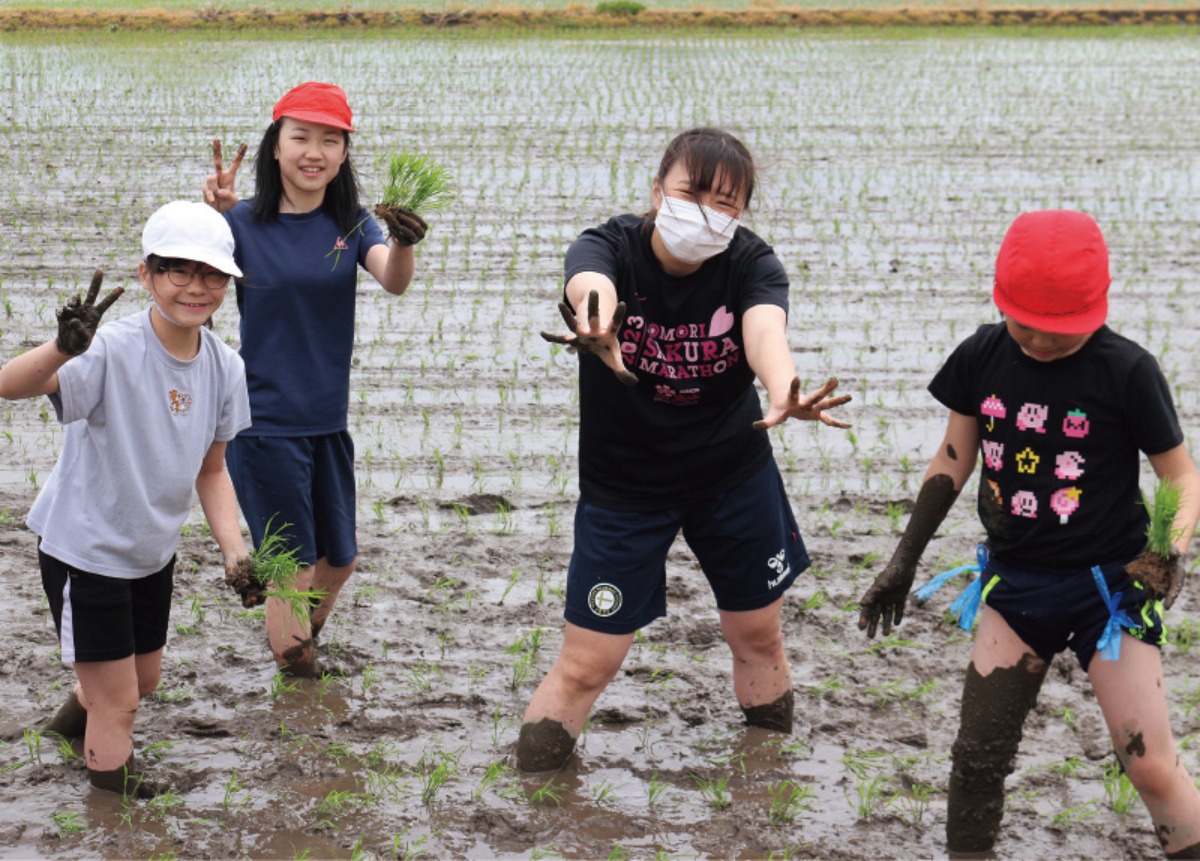 道南のハブタウン、木古内町！子育て・移住促進まで万全サポート　