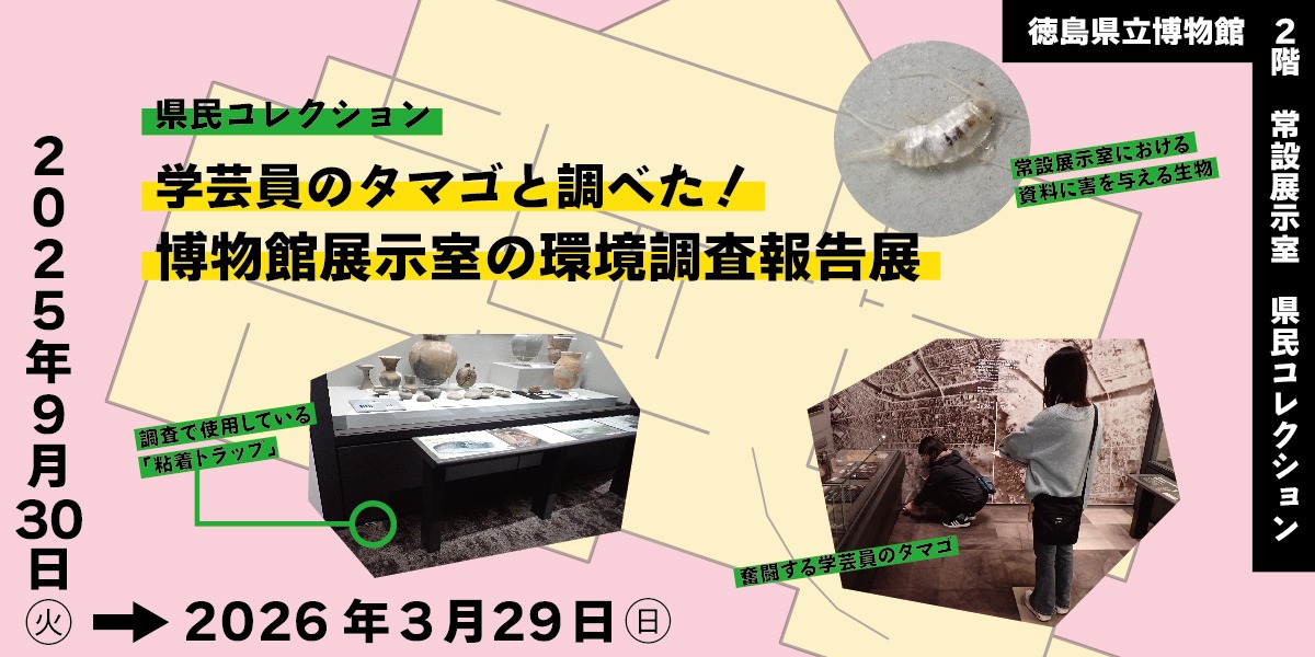 【徳島イベント情報2025】徳島県立博物館【11月】