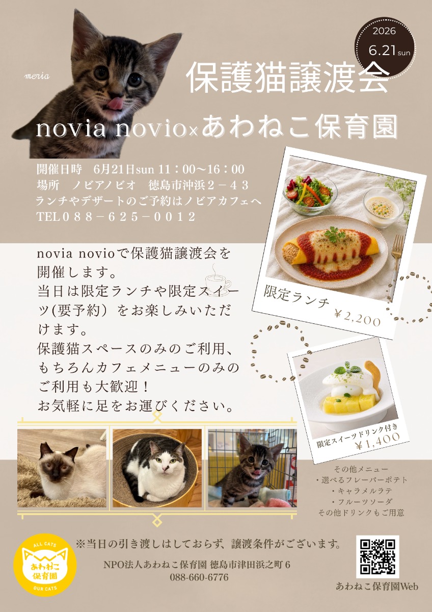 【徳島イベント情報2026】6/21｜保護猫譲渡会 novia novio×あわねこ保育園