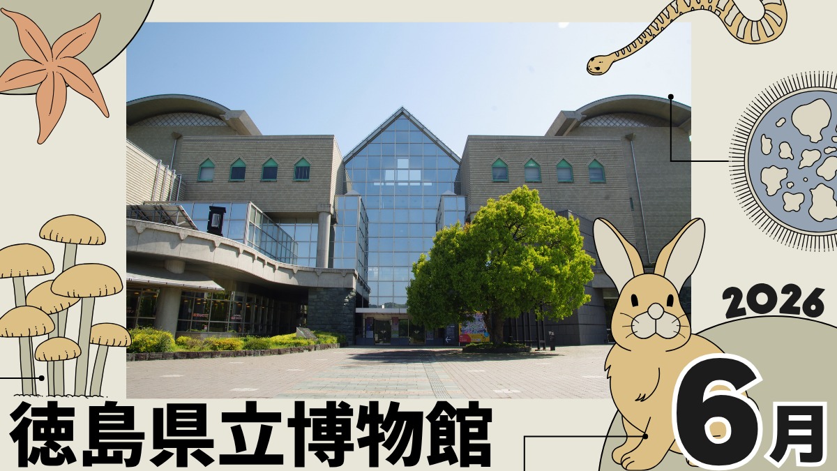 【徳島イベント情報2026】徳島県立博物館【6月】