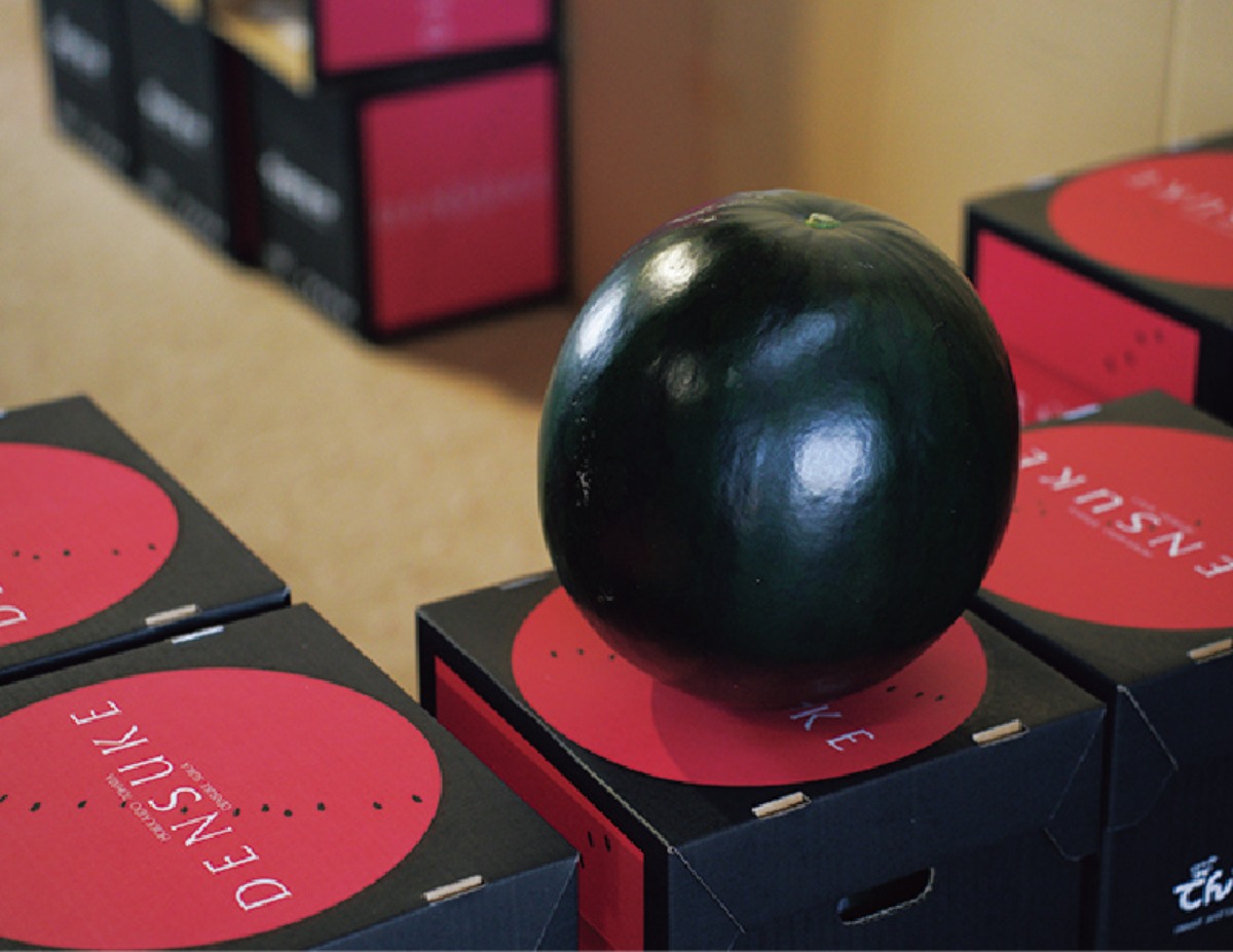 北海道移住・冬｜当麻町　資材補助や移住支援、充実の子育てサポート