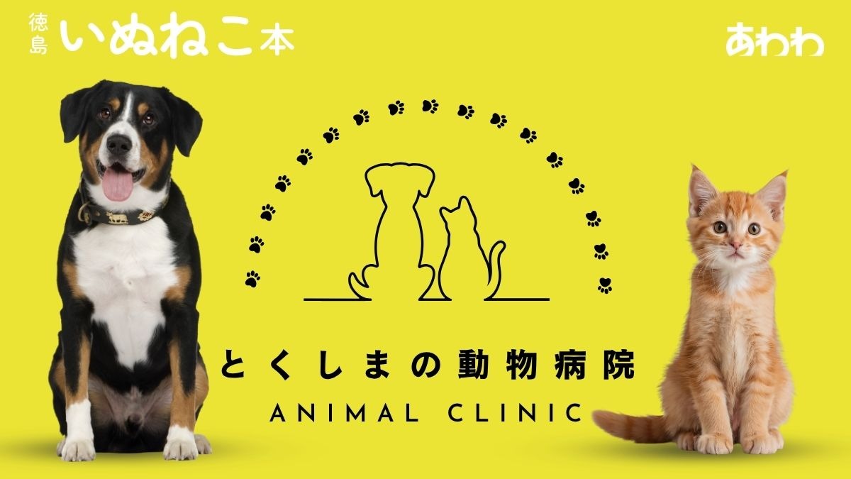 【2026】徳島の動物病院／ペット／ピックアップ8選―あわわ2026年10月20日号徳島いぬねこ本―