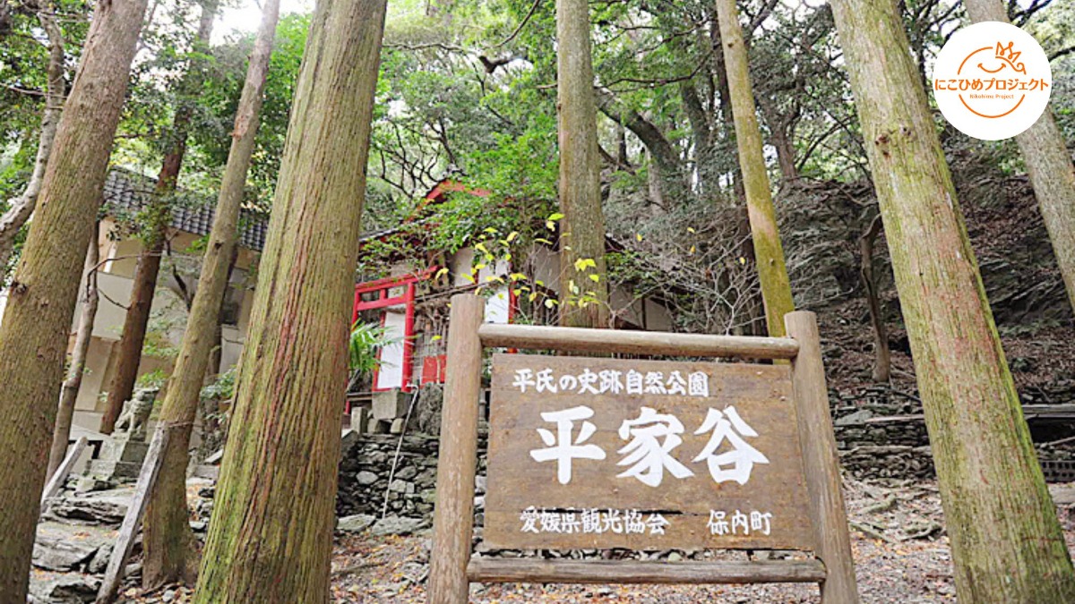 記事画像